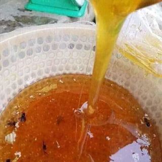 Mật ong hoa cà phê đóng chai 1 lít
