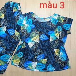 Set mặc nhà bigsize lanh nhung (size 5:70-80kg)