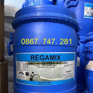 Men dinh dưỡng bổ gan Regamix giá sỉ