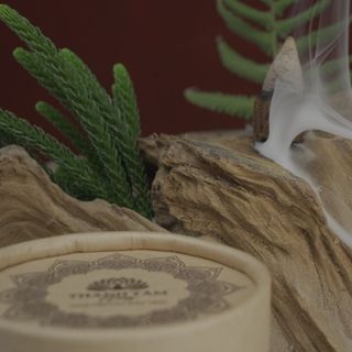 Nụ Trầm Hương Miền Bắc - Thảo Dược Trị Khớp
