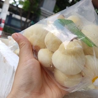 MỘNG DỪA BẾN TRE - ĐẶC SẢN XỨ DỪA