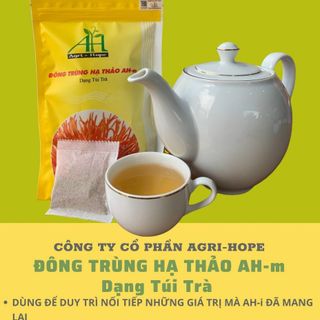 Trà đông trùng hạ thảo AH_m