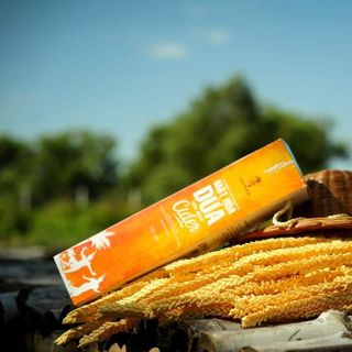 Cider Mật hoa dừa