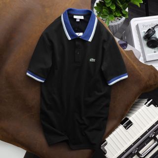 Polo hàng hiệu xuất dư xịn
