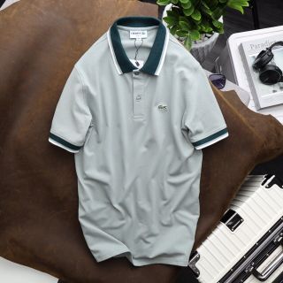 Polo hàng hiệu xuất dư xịn