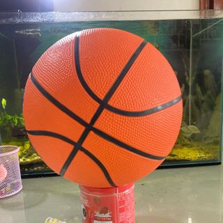 Giá sĩ 59k Cam kết bóng chính hãng 100%