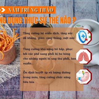 Đông trùng hạ thảo sấy
