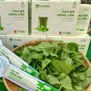 Bột Rau Sấy Lạnh Quảng Thanh tuyển cộng tác viên, đại lý và nhà phân phối các sản phẩm bột rau sấy lạnh như bột rau má, diếp cá, cần tây.