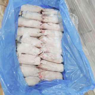 Móng trước SEARA (Brazil)