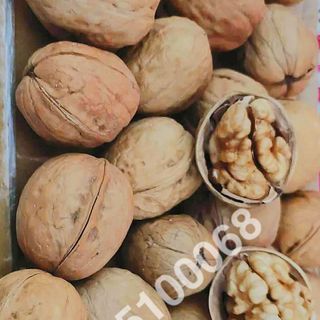 Óc Chó Giấy Vỏ Mỏng ( 25kg/bao - 69k/kg )