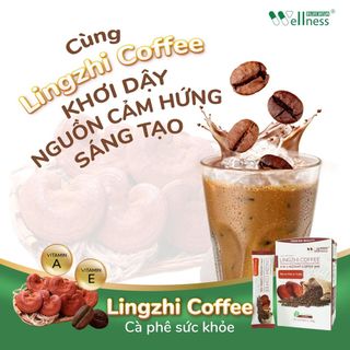 Cà phê sức khỏe Lingzhi Coffee giúp cơ thể xóa tan cảm giác mệt mỏi, uể oải 20 gói