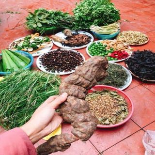 [SẢN PHẨM THIÊN NHIÊN ]Dầu gội thảo mộc thiên nhiên, trị rụng tóc, xơ chẻ ngọn, kích mọc tóc, tóc mềm mượt, chắc khỏe