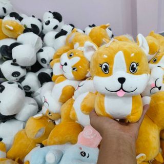 GẤU BÔNG 20, 25CM