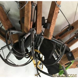 Bẫy Chuột Cán Gỗ Giá Rẻ! MuaAu Mall Sỉ Lẻ
