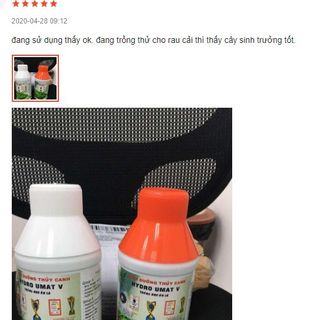 Dinh dưỡng thủy canh cho rau ăn lá Hydro Umat V giá sỉ