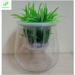 ComBo 5 Chậu Nhựa Trồng Cây Thủy Sinh, Kích Thước 10x10x13Cm