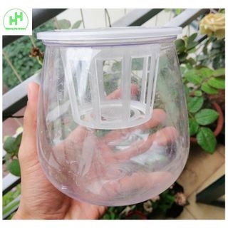 ComBo 5 Chậu Nhựa Trồng Cây Thủy Sinh, Kích Thước 10x10x13Cm