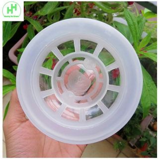 ComBo 5 Chậu Nhựa Trồng Cây Thủy Sinh, Kích Thước 10x10x13Cm