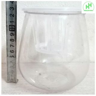 ComBo 5 Chậu Nhựa Trồng Cây Thủy Sinh, Kích Thước 10x10x13Cm