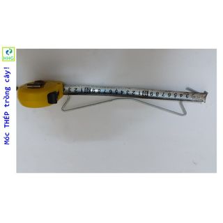 100 MÓC THÉP TRỒNG CÂY PHƯỚC LỘC