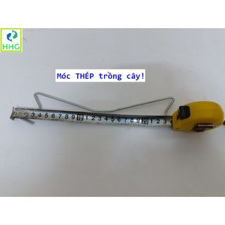 100 MÓC THÉP TRỒNG CÂY PHƯỚC LỘC