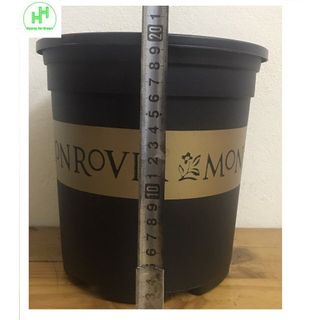 10 Chậu MONROVIA CH Garden 1.5Gal