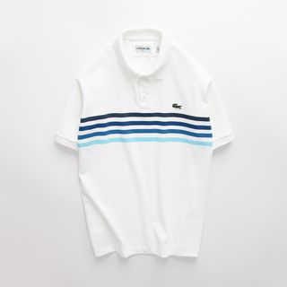 Áo Polo Nam, áo cổ bẻ nam dày dặn size từ 55kg-85kg