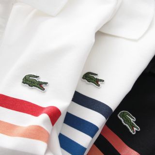 Áo Polo Nam, áo cổ bẻ nam dày dặn size từ 55kg-85kg
