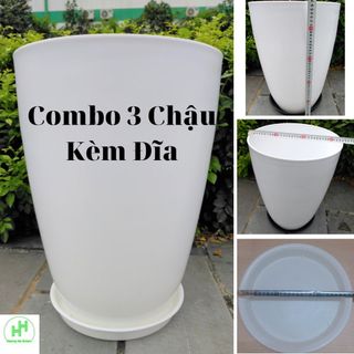 Combo 3 Chậu Nhựa Bom Trơn 350x470 Trắng, KT: 34x47 + 3 Đĩa D270 Hình Tròn, Màu Trắng Trồng Hoa, Cây Cảnh