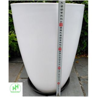 Combo 3 Chậu Nhựa Bom Trơn 350x470 Trắng, KT: 34x47 + 3 Đĩa D270 Hình Tròn, Màu Trắng Trồng Hoa, Cây Cảnh