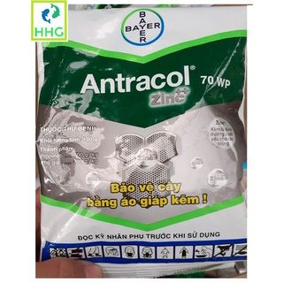 ANTRACOL 70WP GÓI 100G TRỪ NẤM BỆNH DÙNG CHO CÂY TRỒNG