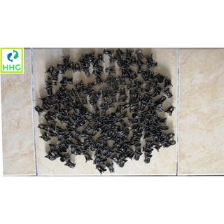 20 KẸP BƯỚM DÙNG ĐỂ KẸP HOA LAN HỒ ĐIỆP