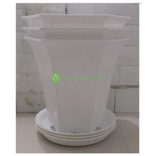 Combo 3 Chậu Nhựa Trồng Hoa, Cây Cảnh Lục Giác LGC280 Màu Trắng + 3 Khay (Đĩa) Lót Đế Chậu D270