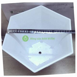 Combo 3 Chậu Nhựa Trồng Hoa, Cây Cảnh Lục Giác LGC280 Màu Trắng + 3 Khay (Đĩa) Lót Đế Chậu D270