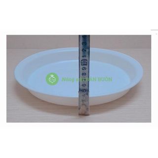 Combo 3 Chậu Nhựa Trồng Hoa, Cây Cảnh Lục Giác LGC280 Màu Trắng + 3 Khay (Đĩa) Lót Đế Chậu D270