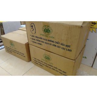 Bộ 2 VIÊN NÉN MỤN DỪA PHƯỚC LỘC-TIỀN GIANG