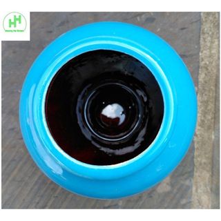 1 Chum, Lu, Bình gốm sứ trồng cây, trồng thủy sinh, đựng đồ uống, dung tích 1L - Màu Xanh nước biển