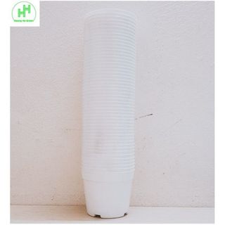 50 Chậu Nhựa Trồng Lan, Cây Cảnh Mini Fi 10cm - Màu Trắng - Cốc ươm fi 10 màu Trắng giá sỉ