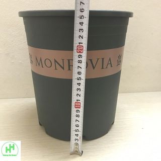 5 Bộ Chậu Nhựa Trồng Hoa Cây Cảnh MONROVIA 3Gal CN (Chậu + Đĩa)