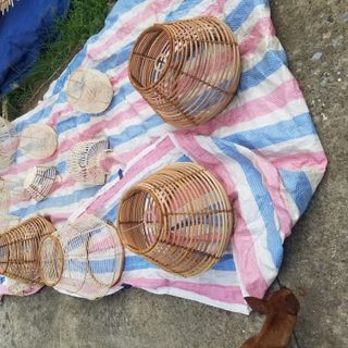 Đèn Decor