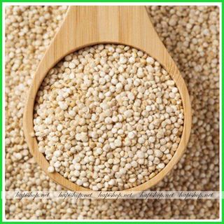 Hạt Quinoa, Hạt Diêm Mạch Trắng giá sỉ