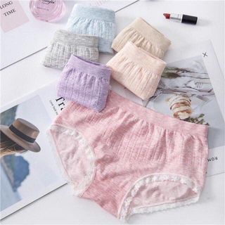 Chuyên sỉ lẻ hộp 10 Quần cotton 365 Dệt Kim ( Nhật Bản )