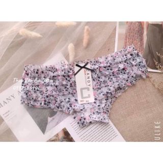 Set 5 Quần Chip Ren Bánh Bèo - Set lọt khe