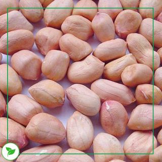 Set Đậu Xanh Mix (Hạt Nấu Sữa)