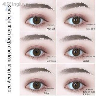 Chì xé kẻ lông mày chống thấm nước lâu trôi Hộp 12 cây