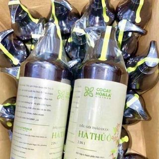 dầu gội hà thủ ô 2 trong 1 giá sỉ