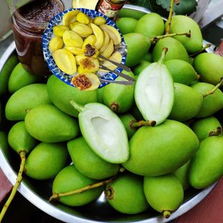 Mắm Ruốc Thái Lan Sisa