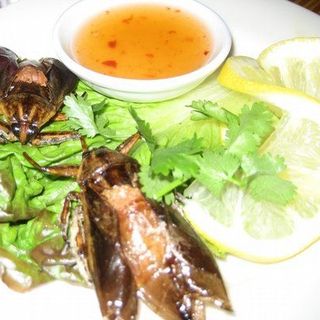 Cà Cuống ngon - Gia vị , món ngon đặc biệt từ thiên nhiên tại Hà Nội
