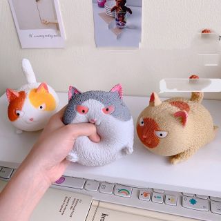 Mèo silicon giảm stress
