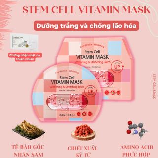 ( Hộp 10 )Mặt nạ Vita Genic Mask